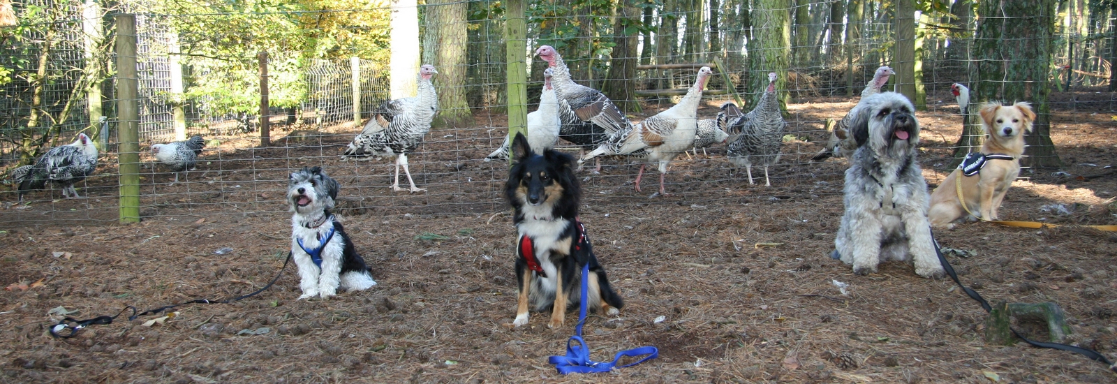Workshop Angebot