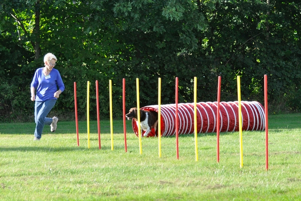 agility angebote